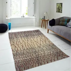 Xαλιά Ανάγλυφα 200x300cm-Καφέ & Μπορντό